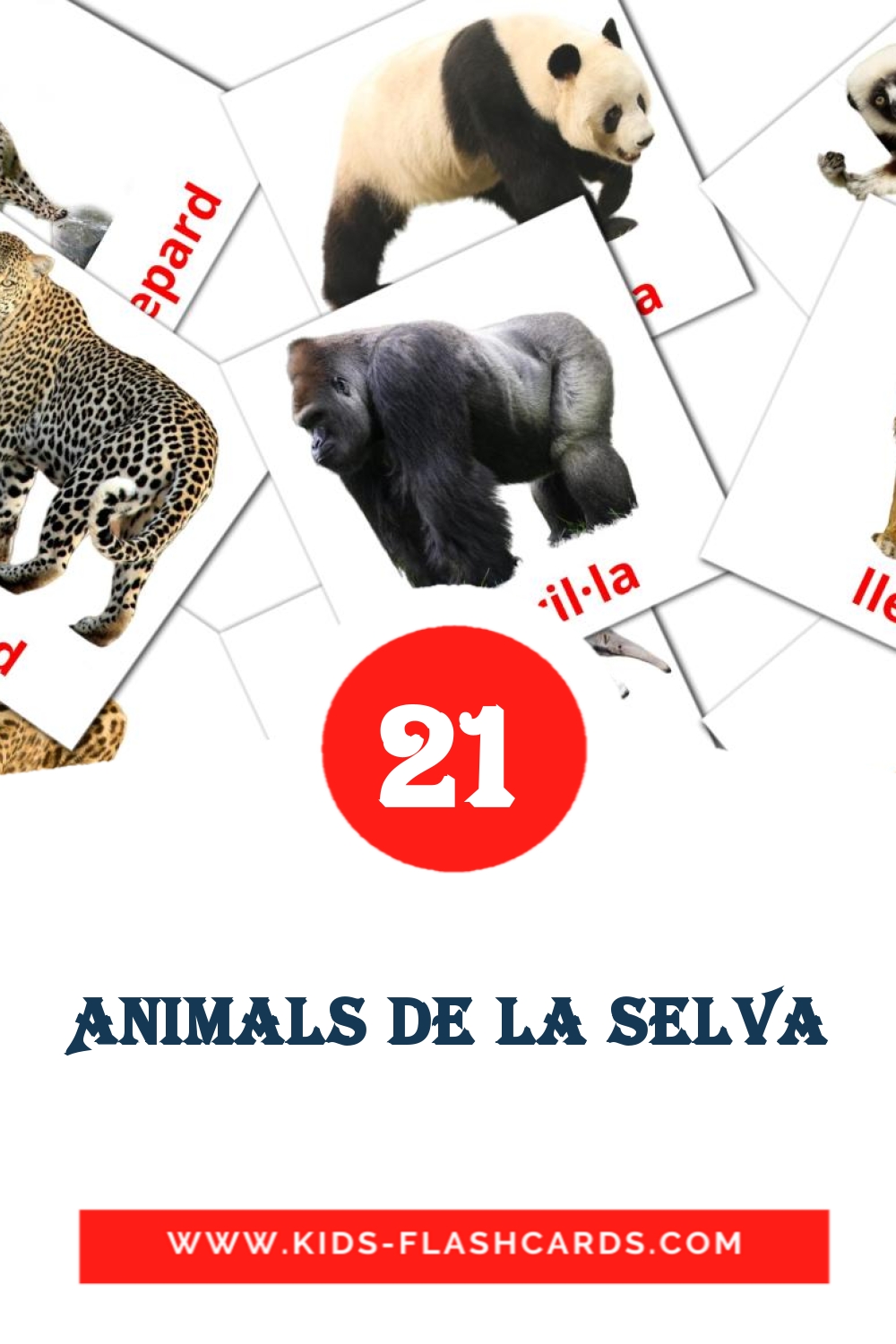 21 tarjetas didacticas de Animals de la Selva para el jardín de infancia en catalán
