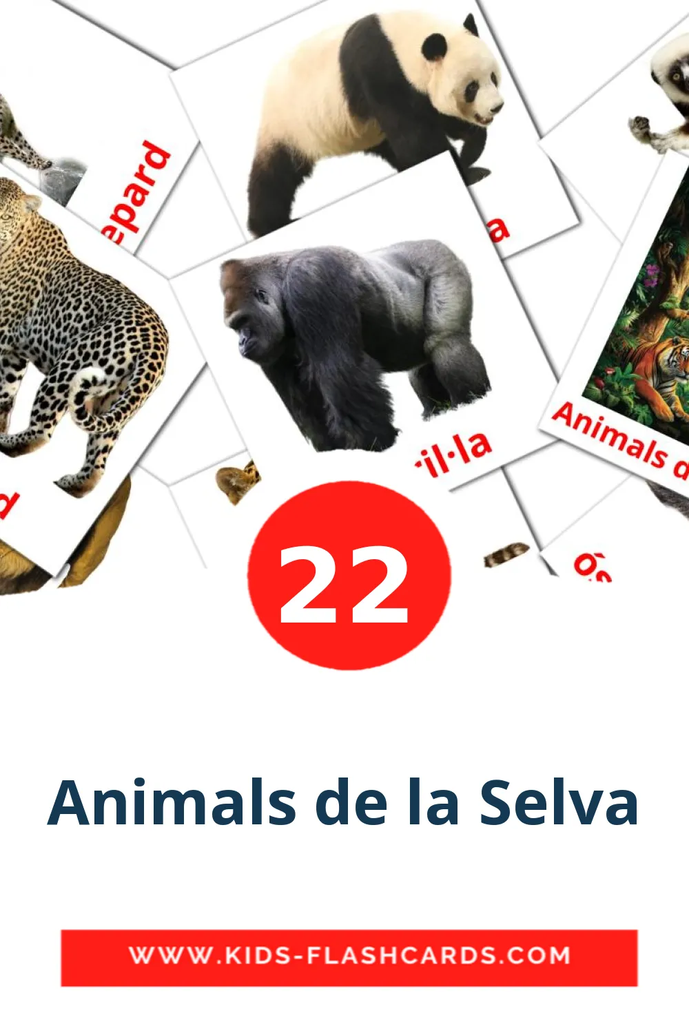 22 Animals de la Selva Bildkarten für den Kindergarten auf Katalanisch