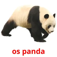 os panda Bildkarteikarten