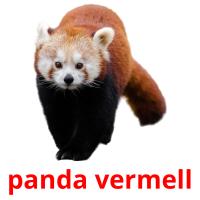 panda vermell picture flashcards