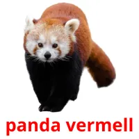 panda vermell Bildkarteikarten