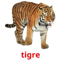 tigre Tarjetas didacticas