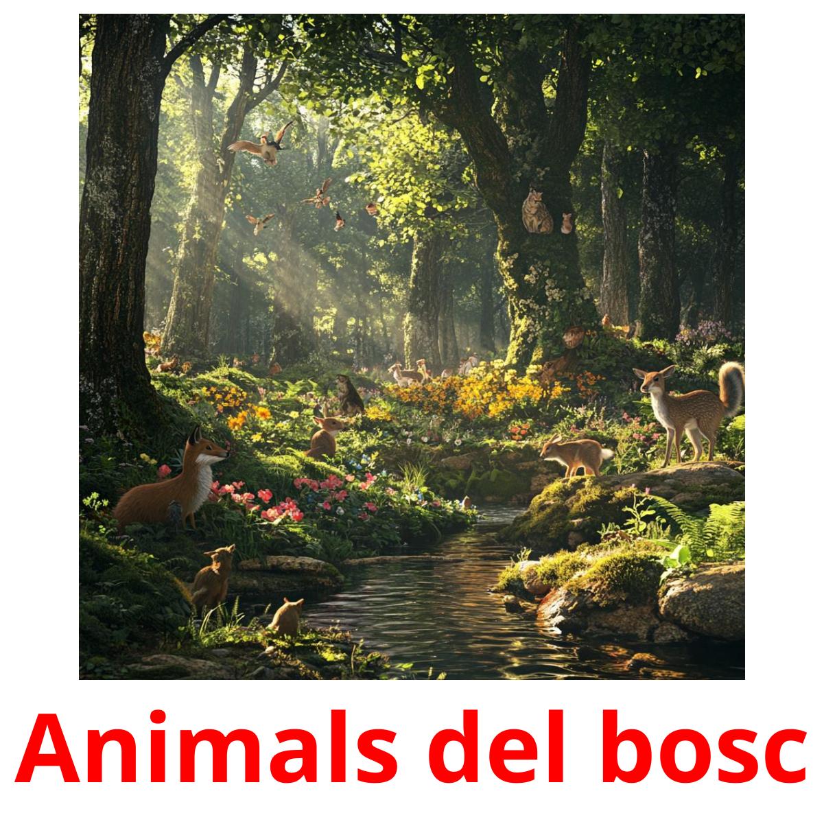 Animals del bosc Bildkarteikarten