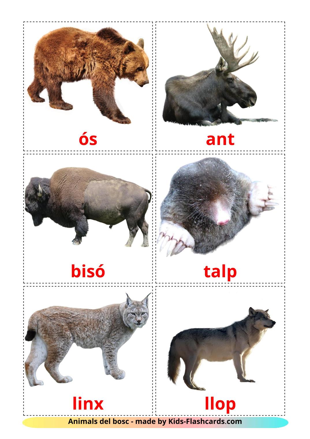 Forest animals - 22 Free Printable catalan Flashcards 