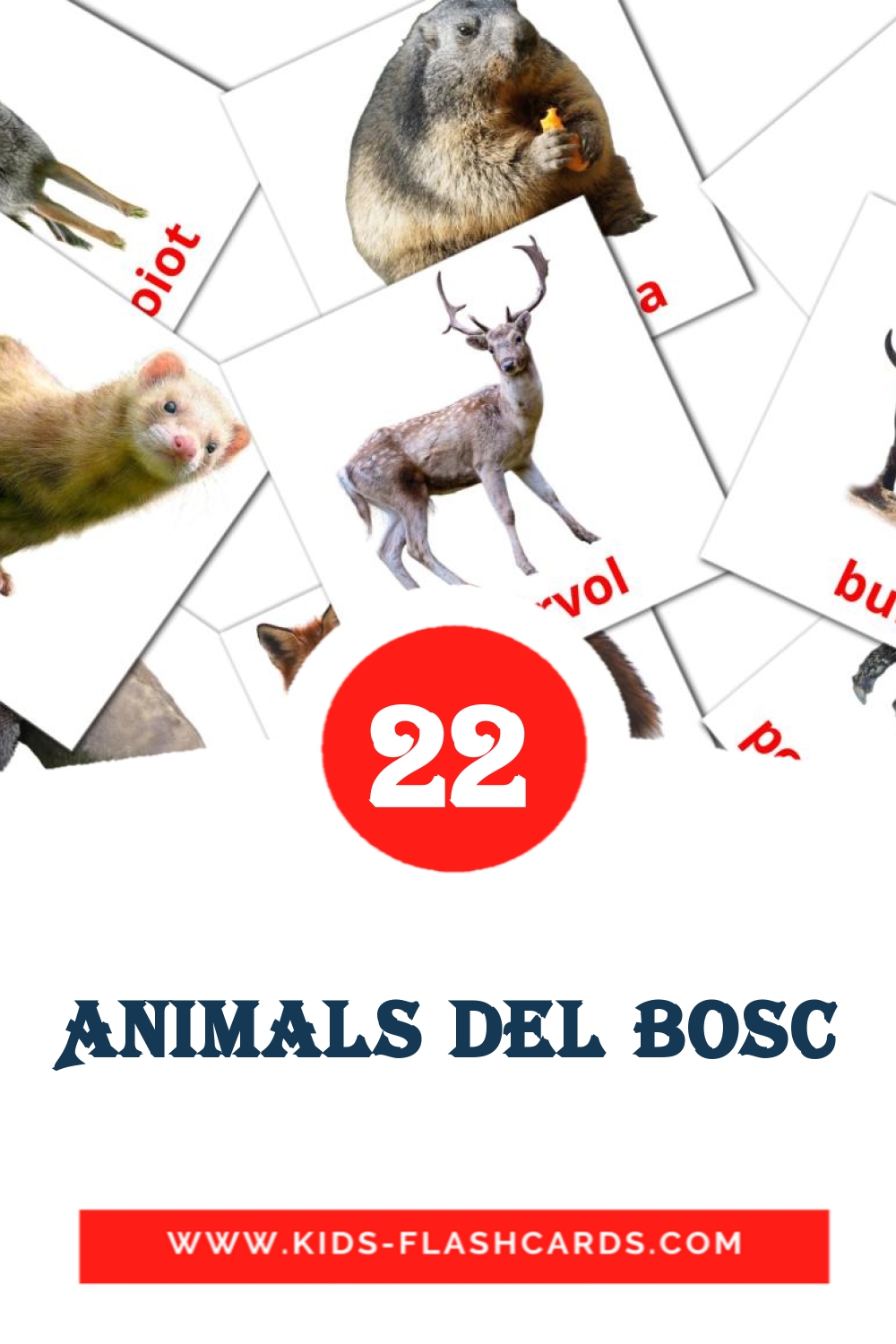 22 tarjetas didacticas de Animals del bosc para el jardín de infancia en catalán