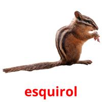 esquirol карточки энциклопедических знаний