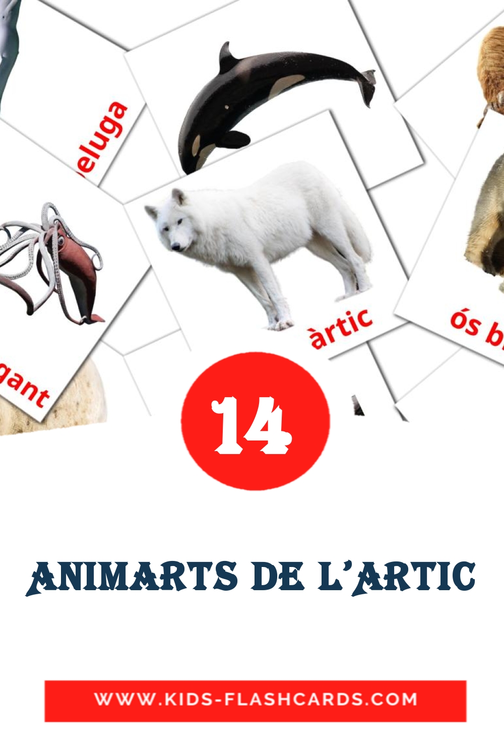 14 Animarts de l'ARTIC fotokaarten voor kleuters in het catalaans