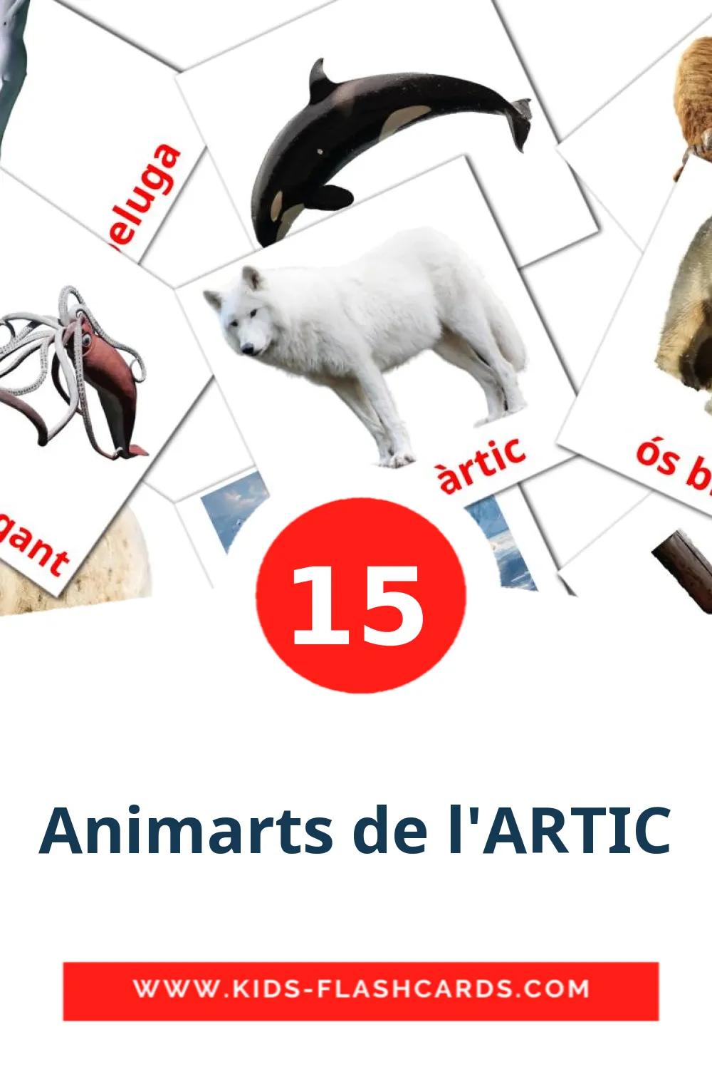 15 Animarts de l'ARTIC Picture Cards for Kindergarden in catalan