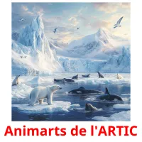 Animarts de l'ARTIC Bildkarteikarten