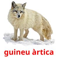 guineu àrtica карточки энциклопедических знаний