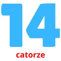 catorze picture flashcards
