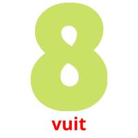 vuit picture flashcards