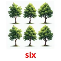 six cartões com imagens