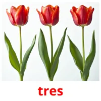 tres cartões com imagens