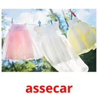 assecar picture flashcards