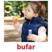 bufar picture flashcards