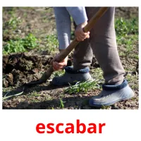 escabar picture flashcards