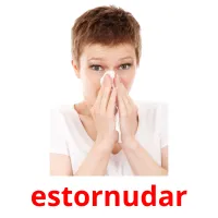 estornudar picture flashcards