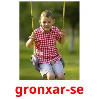 gronxar-se picture flashcards