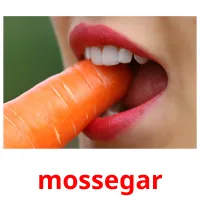 mossegar picture flashcards
