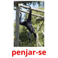 penjar-se picture flashcards