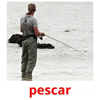 pescar picture flashcards