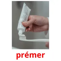 prémer picture flashcards