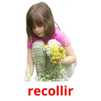 recollir picture flashcards