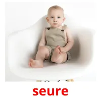 seure picture flashcards