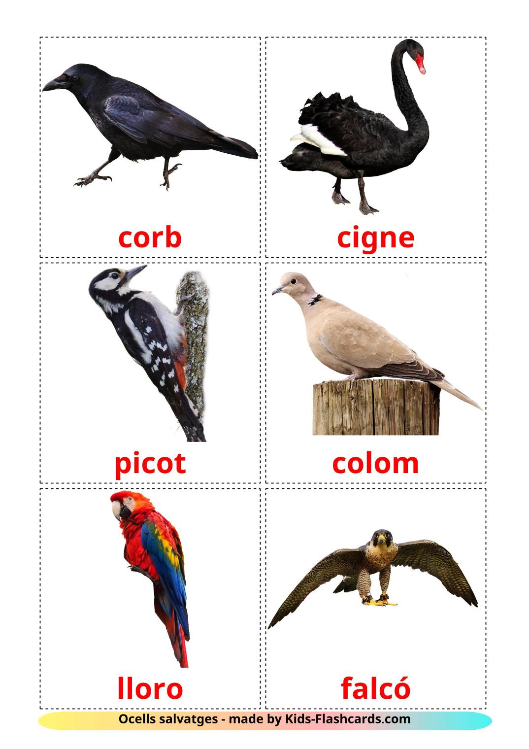 Les Oiseaux Sauvages - 18 Flashcards catalan imprimables gratuitement