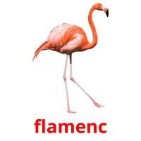 flamenc picture flashcards