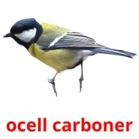 ocell carboner Tarjetas didacticas