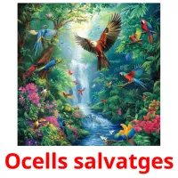 Ocells salvatges Tarjetas didacticas