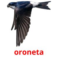 oroneta flashcards illustrate