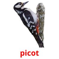 picot picture flashcards