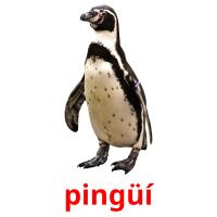pingüí cartões com imagens