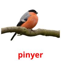 pinyer picture flashcards