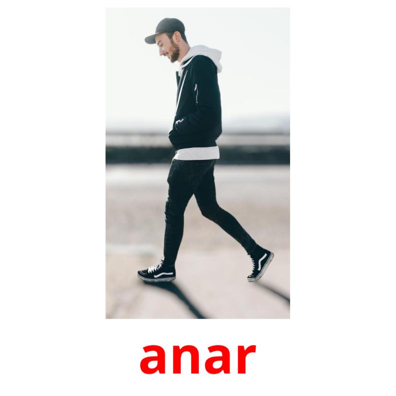 anar picture flashcards
