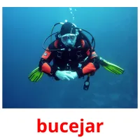 bucejar Bildkarteikarten