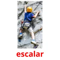 escalar Bildkarteikarten