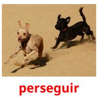 perseguir picture flashcards