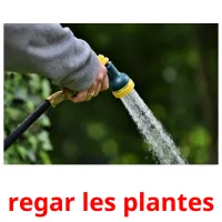 regar les plantes Bildkarteikarten