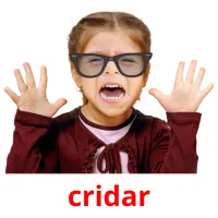 cridar flashcards illustrate