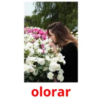 olorar flashcards illustrate