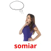 somiar flashcards illustrate