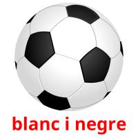 blanc i negre picture flashcards