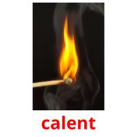 calent picture flashcards
