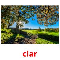 clar picture flashcards