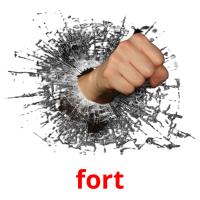 fort flashcards illustrate