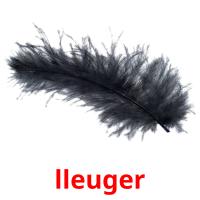 lleuger picture flashcards